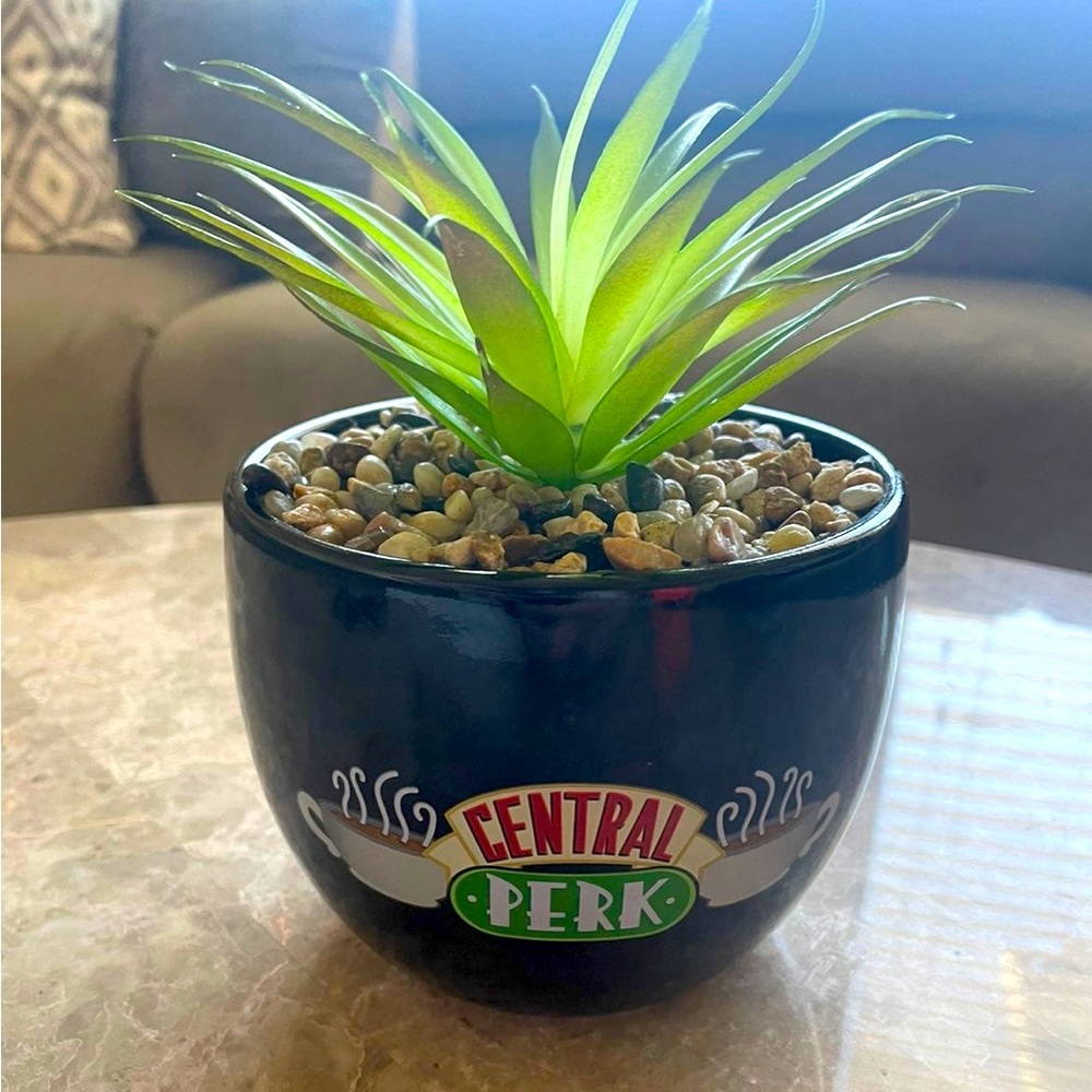 FRIENDS Decor